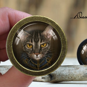 May include: A close-up of a round, gold-colored, decorative knob with a glass insert featuring a portrait of a tabby cat wearing a military-style uniform. The cat has green eyes and a serious expression. The knob is on a wooden surface.