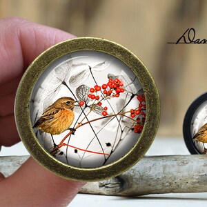 Bird Glass Cabochon Bronze Cabinet Knob: Dresser Pull Furniture Knob
