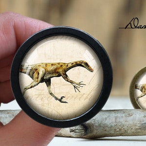 Pode incluir: Um pingente redondo preto e prateado com uma ilustração vintage de um dinossauro em um fundo bege. O pingente está em uma superfície de madeira.