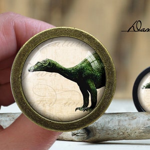 May include: A bronze-colored round knob with a glass insert featuring a green dinosaur illustration. The dinosaur is depicted in a side profile with a long neck and tail. The background of the glass insert is a cream color with a faded script pattern.