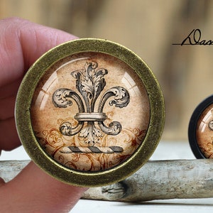 Op de afbeelding: Een close-up van een decoratieve knop met een gouden metalen frame en een glazen insert met een vintage fleur-de-lis-ontwerp op een beige achtergrond. De knop ligt op een stuk drijfhout.