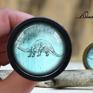 May include: A black and silver knob with a blue and white image of a dinosaur on a textured background.