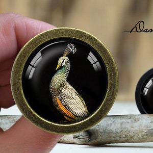 Może przedstawiać: Dwa okrągłe, dekoracyjne gałki do szafek z motywem pawia. Paw jest przedstawiony z zielonymi, złotymi i pomarańczowymi piórami na czarnym tle. Większa gałka ma obramowanie z metalu w kolorze brązu, a mniejsza czarne. Tekst "Dan's diary" jest napisany kursywą.