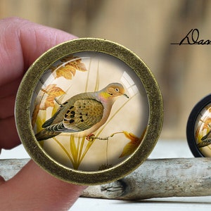 May include: A pair of round, decorative cabinet knobs with a bronze finish. The knobs feature a glass dome with a vintage illustration of a mourning dove perched on a branch with yellow leaves.