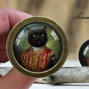 Op de afbeelding: Een zwarte kat draagt ​​een rood en gouden gepatroneerd jasje, met een glazen koepel over de afbeelding. De kat kijkt recht naar de kijker. De glazen koepel is geplaatst in een gouden metalen frame.