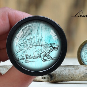 Op de afbeelding: Een zwart-witte illustratie van een prehistorisch wezen met een stekelige rug, tegen een blauwe en witte achtergrond. De illustratie is ingekapseld in een ronde, zwarte glazen koepel.