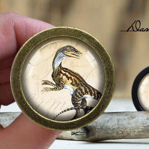 Pode incluir: Close-up de um botão redondo de cor latão com um inserto de vidro que apresenta uma ilustração detalhada de um dinossauro. O dinossauro é marrom e bege com um pescoço e uma cauda longos. O botão está sobre uma superfície de madeira.