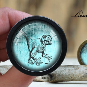 Pode incluir: Um botão redondo preto e prateado com um fundo azul turquesa e uma ilustração em preto e branco de um dinossauro. O dinossauro está virado para a direita e tem uma cauda longa. O botão está sobre uma superfície de madeira.