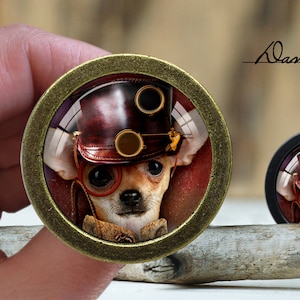 Op de afbeelding: Een kleine chihuahua met een bruine leren hoed met een bril en een rode strik. De hond kijkt naar de camera. De afbeelding is in een ronde, gouden lijst.