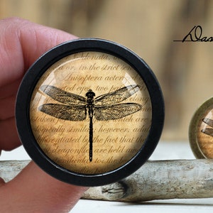 Könnte beinhalten: Zwei runde, dekorative Glascabochons mit einem schwarzen Libellenbild auf einem Vintage-Hintergrund mit cremefarbenem Text. Der Text lautet "Odonata, dor, in the strict sch Anisoptera acter ted eyes two pal which are logically simila: however, adul ferentiated by the fact that the dragonflie are held aw pordiventa to the he".
