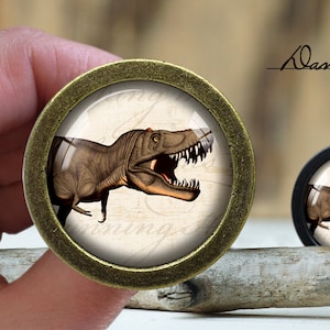 May include: A close-up of a brass knob with a glass insert featuring a dinosaur illustration. The dinosaur is brown and has a white background with a vintage-style script.