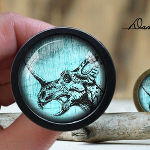 Pode incluir: Uma ilustração em preto e branco de um tricerátopo sobre um fundo turquesa. A ilustração está em um botão redondo preto com um botão de metal prateado à direita.