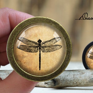 May include: Two round knobs featuring a dragonfly design. The larger knob is brass with a vintage-style dragonfly on a cream background. The smaller knob is black with a dragonfly on a cream background.