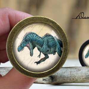 May include: A pair of round, brass-colored cabinet knobs with a vintage-style design. The knobs feature a detailed illustration of a blue dinosaur on a cream-colored background.