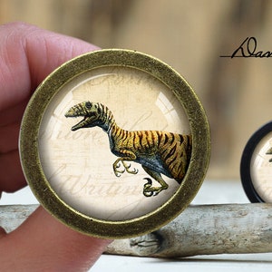 Pode incluir: Close-up de um botão redondo dourado com um inserto de vidro que apresenta uma ilustração vintage de um dinossauro. O dinossauro é marrom, amarelo e preto sobre um fundo branco.