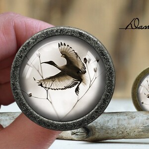 May include: A silver-toned round knob with a glass insert featuring a black and white image of a bird in flight against a white background.