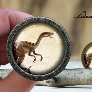 Pode incluir: Um par de botões decorativos para armários com um visual vintage. Cada botão apresenta uma base redonda de cor prateada com um inserto de vidro. O inserto de vidro mostra uma ilustração detalhada de um dinossauro em um fundo vintage.