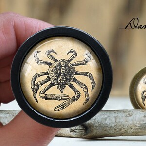 May include: A black and white illustration of a crab on a beige background. The illustration is framed in a black circular frame. The frame is about 2 inches in diameter.