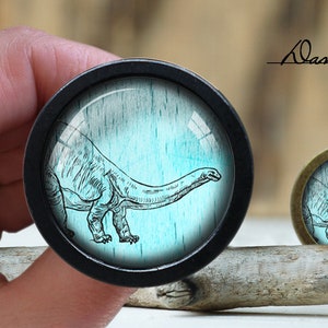 May include: A black and silver round button with a blue and white image of a dinosaur on a wooden background. The text "Alan's diary" is written in black on a white background.