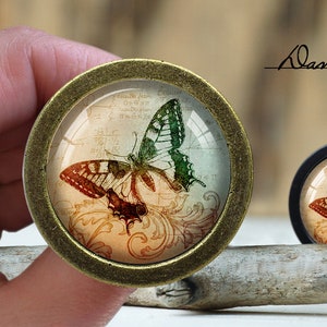 May include: Two round, decorative cabinet knobs with a vintage butterfly design. The larger knob is brass with a green and brown butterfly on a cream background. The smaller knob is black with a brown and white butterfly on a cream background.