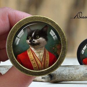 Op de afbeelding: Een zwart-witte kat draagt ​​een rood-gouden jasje met een witte kraag. De kat is ingelijst in een gouden ronde lijst met een glazen koepel. De afbeelding bevindt zich op een houten oppervlak. "Dan's diary" is geschreven in zwarte inkt op een witte achtergrond.