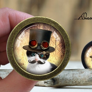 Op de afbeelding: Een zwart-witte kat met een zwarte hoge hoed met rode en gouden beschermbrillen en een snor. De kat bevindt zich in een ronde, gouden lijst met een vintage achtergrond.