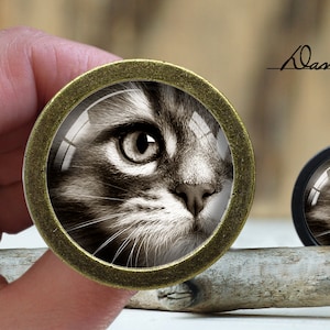 May include: A close-up of a cat's face with green eyes, captured in a round, brass-colored frame. The frame is set against a wooden background.