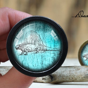 Pode incluir: Uma ilustração em preto e branco de um dinossauro com uma gola no pescoço, impressa em um fundo redondo azul turquesa. A imagem é emoldurada em uma moldura circular preta.