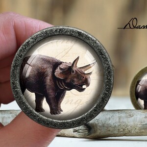 May include: A pair of round, silver-coloured cabinet knobs with a glass insert featuring a brown and black rhinoceros illustration. The glass insert has a white background with a handwritten inscription.
