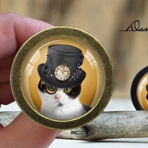 May include: A black and white cat wearing a black top hat with a clock face and goggles. The cat is looking directly at the camera. The background is a light yellow colour.