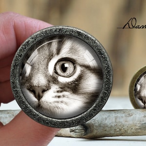 May include: A close-up of a cat's face, with a black and white striped pattern, looking directly at the camera. The cat's eye is a bright blue. The image is in a circular frame with a silver finish.