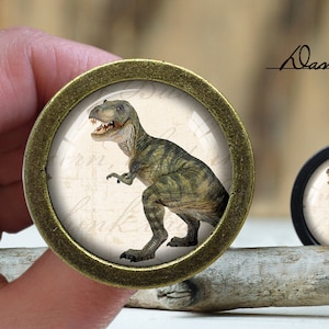 May include: A gold-coloured round knob with a glass insert featuring a green dinosaur on a white background with black writing. The knob is on a wooden surface.