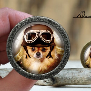 May include: A small dog wearing a brown leather aviator helmet with goggles, a brown leather jacket, and a white fur collar. The dog is looking directly at the camera. The image is in a round, silver-colored frame.