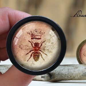 Può includere: Primo piano di un cabochon rotondo in vetro con cornice nera con un'illustrazione vintage di un'ape che indossa una corona. L'ape è rossa e dorata con ali marroni. Lo sfondo è rosa chiaro con un motivo floreale.