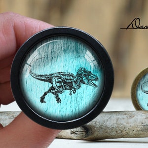 May include: Two round, decorative, wooden knobs with a blue and white dinosaur graphic. The knobs are on a wooden surface.
