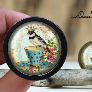 May include: A black knob with a glass insert featuring a whimsical illustration of a bird perched on a teacup. The teacup is decorated with a floral pattern and the background is a vintage-inspired design.