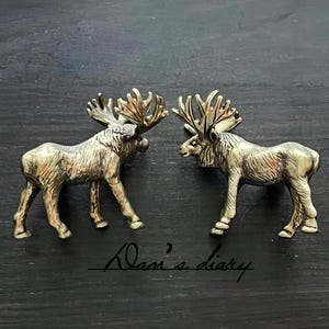 May include: Two bronze-colored moose figurines face each other, showcasing detailed antlers and textured bodies. The moose are set against a dark, textured background. The image includes the handwritten text "Alan's diary".