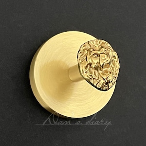 Mosiężny wieszak ścienny z węzłem lwa: wieszak na ubrania/ręczniki w stylu nordyckim