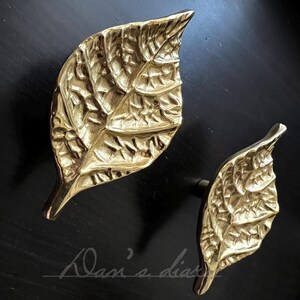 May include: Two gold leaf-shaped door knobs with intricate details. The knobs are made of brass and have a polished finish.