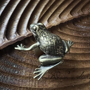 May include: A detailed bronze frog figurine with textured skin, posed on a carved wooden surface. The frog is in a leaping position, with outstretched arms and detailed webbed feet. The wooden surface has a ribbed pattern.