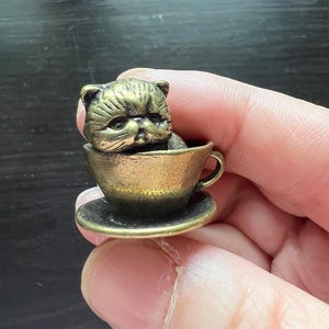 May include: A small, detailed brass figurine of a cat sitting in a teacup and saucer. The cat has a grumpy expression. The teacup and saucer are a matching set with a vintage aesthetic.