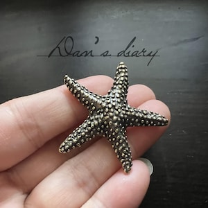 Puede incluir: Una estrella de mar de color bronce con una superficie texturizada. La estrella de mar de cinco puntas se sostiene en una mano sobre un fondo oscuro. El texto "Dan's diary" está escrito en cursiva.