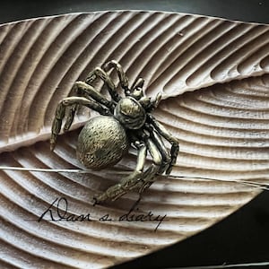 K&ouml;nnte beinhalten: Eine bronzefarbene Spinnenfigur liegt auf einem geschnitzten Holzblatt. Die Spinne hat einen runden K&ouml;rper und mehrere Beine mit strukturierter Oberfl&auml;che. Das Blatt hat ein detailliertes, geripptes Muster. Die Worte "Dan's diary" sind kursiv geschrieben.