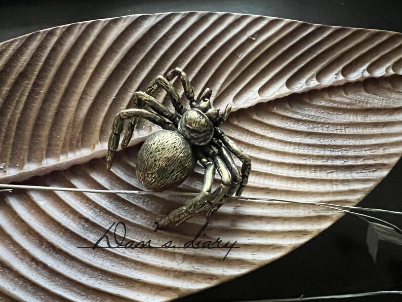 K&ouml;nnte beinhalten: Eine bronzefarbene Spinnenfigur liegt auf einem geschnitzten Holzblatt. Die Spinne hat einen runden K&ouml;rper und mehrere Beine mit strukturierter Oberfl&auml;che. Das Blatt hat ein detailliertes, geripptes Muster. Die Worte "Dan's diary" sind kursiv geschrieben.