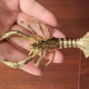 Brass Lobster Drawer Dresser Knobs, Cabinet Pulls handle, Animal drawer knob, Drawer Pulls Handle, Wardrobe Cabinet Pull ,CP-0796