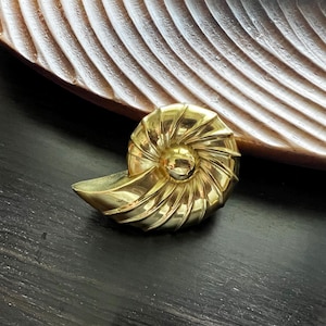 May include: A gold-toned metal seashell brooch with a spiral design. The brooch is on a dark brown surface.