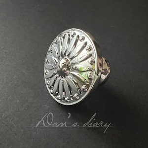 Può includere: Pomello per armadio argentato lucido con un motivo floreale. Il pomello ha una faccia circolare con un motivo a rilievo a forma di raggiera e piccoli accenti rotondi. Il testo "Dan's diary" è scritto in corsivo.