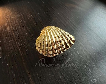 Massiver Messing Muschel Knauf: Möbel Beschläge