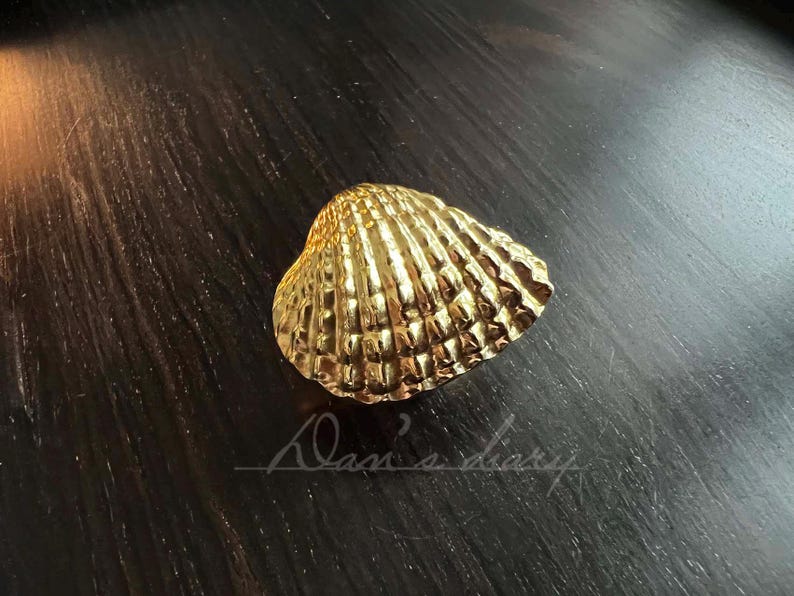 May include: A gold-colored seashell shaped door or cabinet knob.
