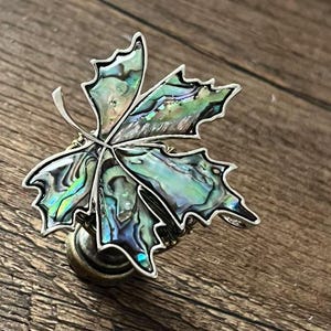 Peut inclure: Broche argent&eacute;e en forme de feuille avec incrustation de nacre iris&eacute;e. La broche pr&eacute;sente un motif de feuille d&eacute;taill&eacute; avec une surface textur&eacute;e et un fermoir &agrave; &eacute;pingle. La nacre affiche des nuances de vert, de bleu et de violet.
